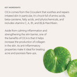 Acne Care Clearing Foam Facewash